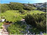 Planina Blato - Velika Tičarica